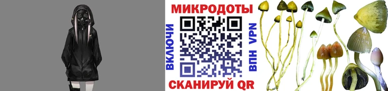 Псилоцибиновые грибы GOLDEN TEACHER  Купить  Химки 